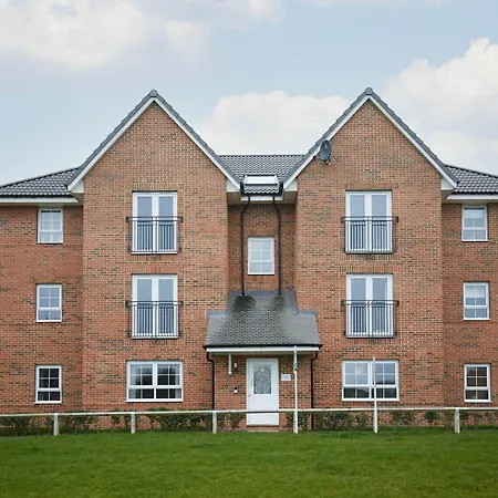 Host & - Emmy's Escape ويتبي